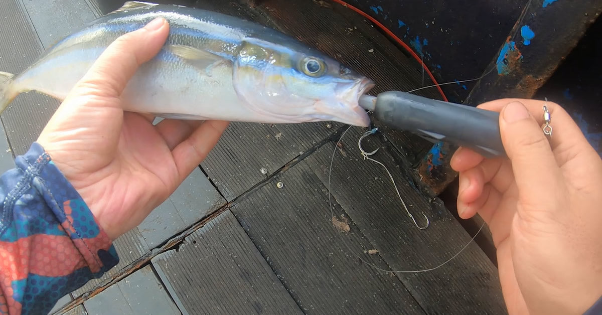 Cebo electrónico inteligente para peces, cebo de pesca biónico de