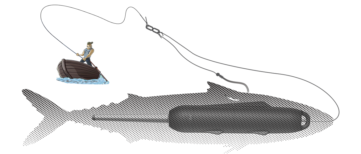 bionic swimming lure